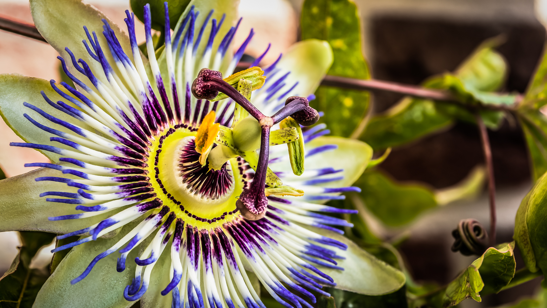 IMG 1262CR2 reduziert